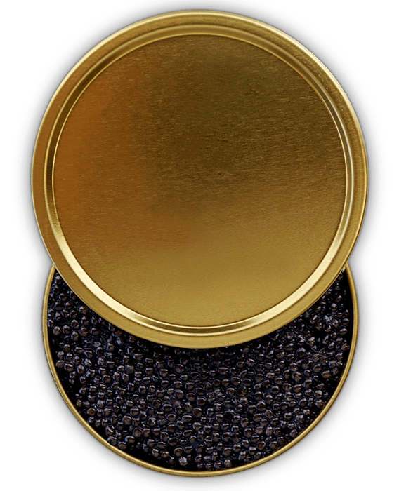 Caviar Dose ohne Aufdruck