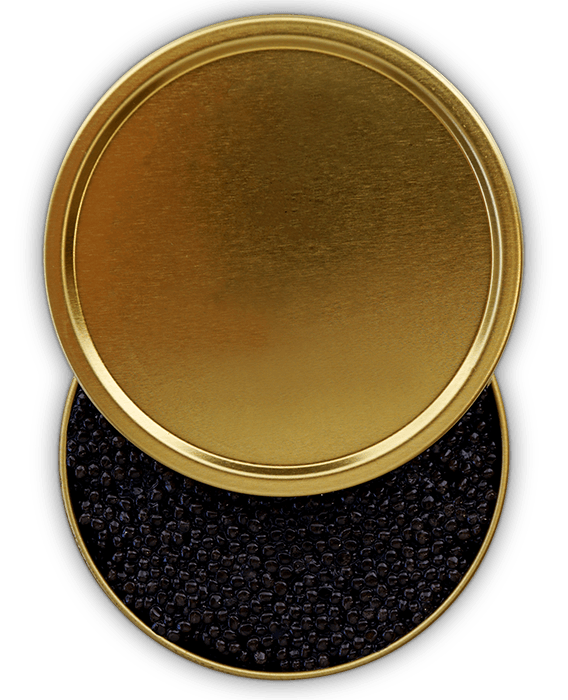 Caviar Dose ohne Aufdruck Bedruckt